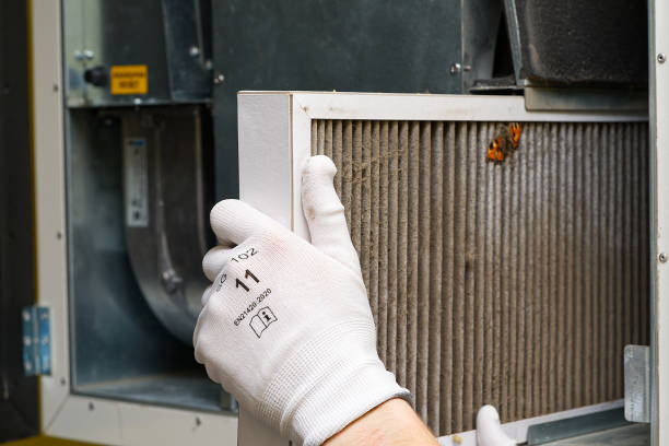 Air Duct Mold Removal in Mcsherrystown, PA