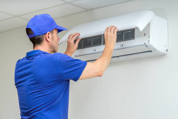 Best Air Duct Mold Removal  in Mcsherrystown, PA